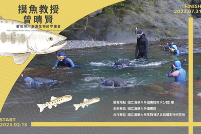 摸魚教授曾晴賢-臺灣河川洄游生物的守護者圖片
